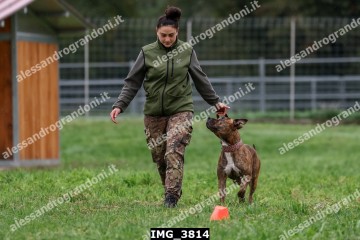 IMG_3814.jpg