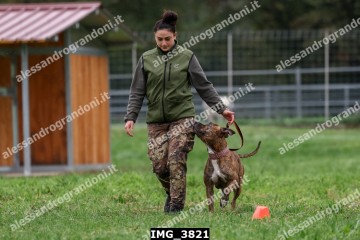 IMG_3821.jpg