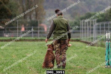 IMG_3951.jpg