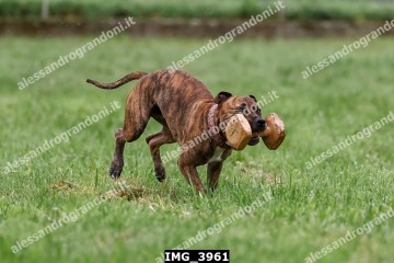 IMG_3961.jpg