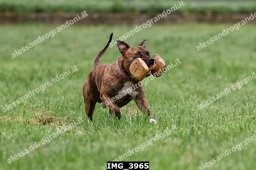 IMG_3965.jpg
