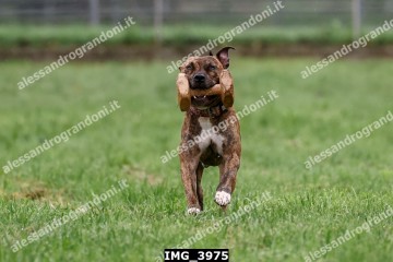 IMG_3975.jpg