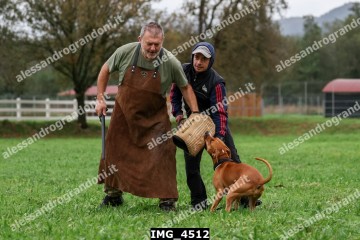 IMG_4512.jpg