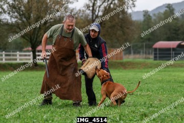 IMG_4514.jpg