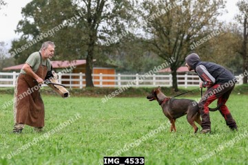 IMG_4533.jpg