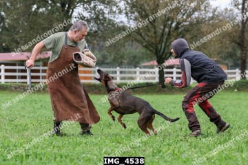 IMG_4538.jpg