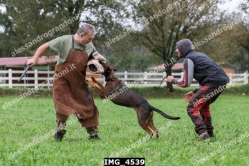 IMG_4539.jpg