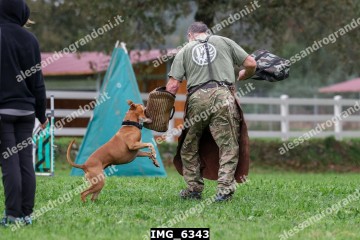 IMG_6343.jpg
