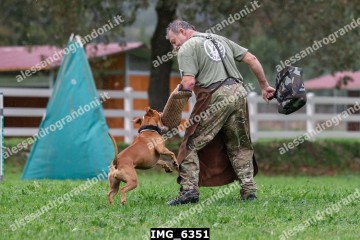 IMG_6351.jpg