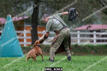 IMG_6363.jpg