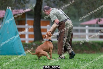 IMG_6374.jpg