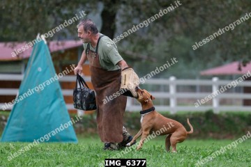 IMG_6377.jpg