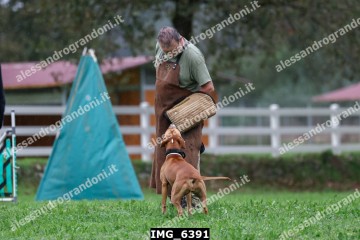 IMG_6391.jpg