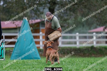 IMG_6396.jpg