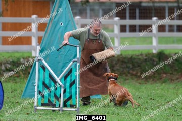 IMG_6401.jpg