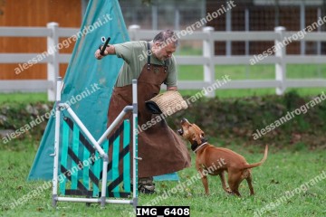 IMG_6408.jpg