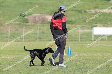 IMG_2103.jpg