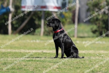 IMG_2173.jpg