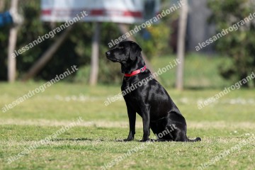 IMG_2182.jpg