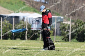 IMG_2198 (2).jpg