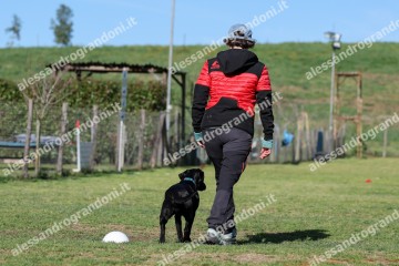 IMG_2308 (2).jpg