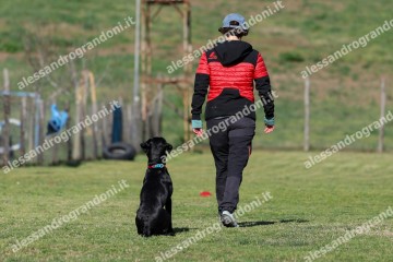 IMG_2317.jpg