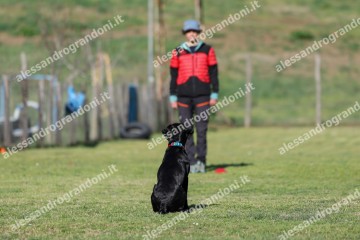 IMG_2322 (2).jpg