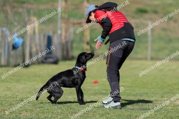 IMG_2326.jpg
