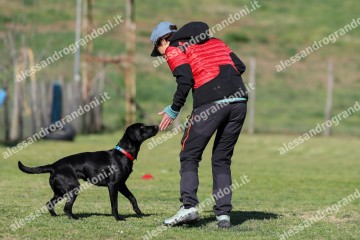 IMG_2330 (2).jpg
