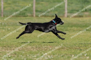 IMG_2349 (2).jpg