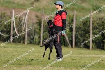 IMG_2362 (2).jpg