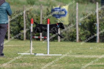 IMG_2375 (2).jpg