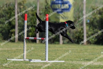 IMG_2376.jpg
