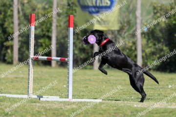 IMG_2394 (2).jpg