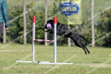 IMG_2397.jpg