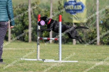IMG_2399.jpg
