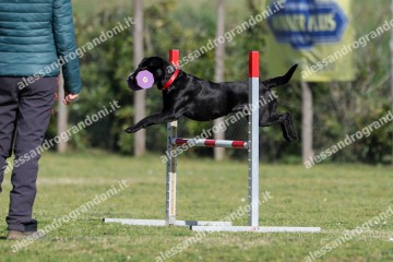 IMG_2401 (2).jpg