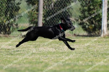 IMG_2420.jpg