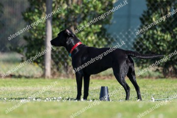 IMG_2441.jpg