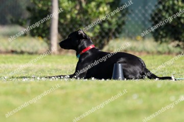 IMG_2474.jpg