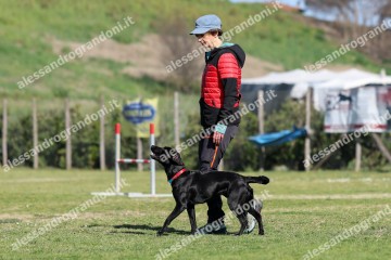 IMG_2496.jpg