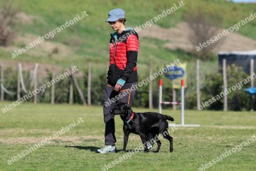 IMG_2501 (2).jpg