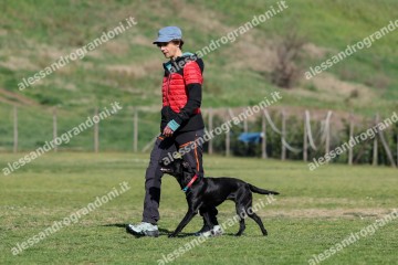 IMG_2510 (2).jpg