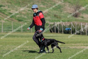 IMG_2515.jpg
