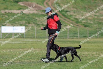 IMG_2521 (2).jpg