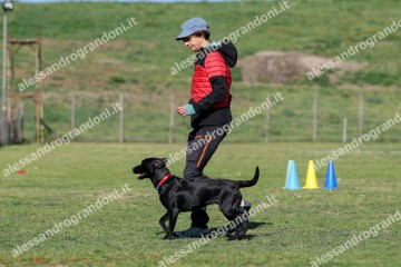 IMG_2532.jpg