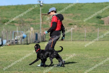IMG_2541.jpg