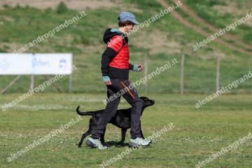 IMG_2546.jpg