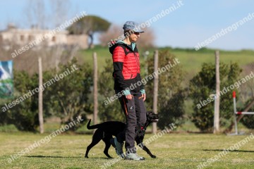 IMG_2564.jpg