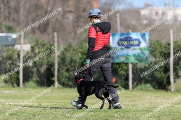 IMG_2567 (2).jpg